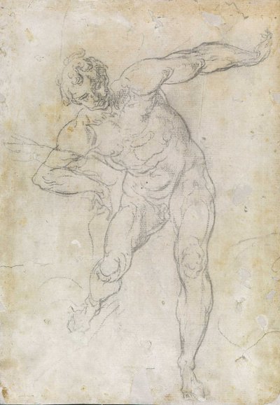 Studio di nudo maschile da Guido Reni